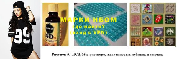 крисы Надым