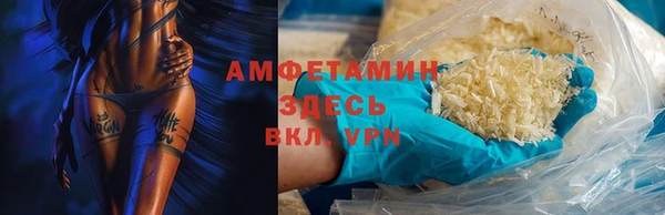 крисы Надым