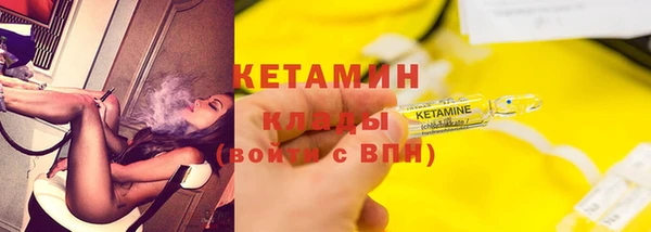 крисы Надым