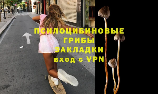 крисы Надым