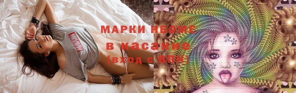 крисы Надым