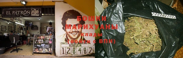 крисы Надым