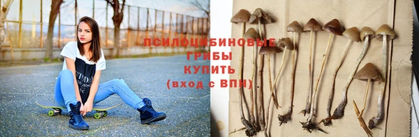 mdpv Пенза