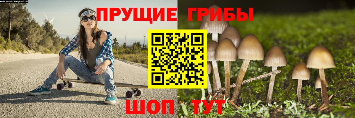 Галлюциногенные грибы Psilocybe  Галлюциногенные грибы GOLDEN TEACHER  Ессентуки  Вход с VPN 