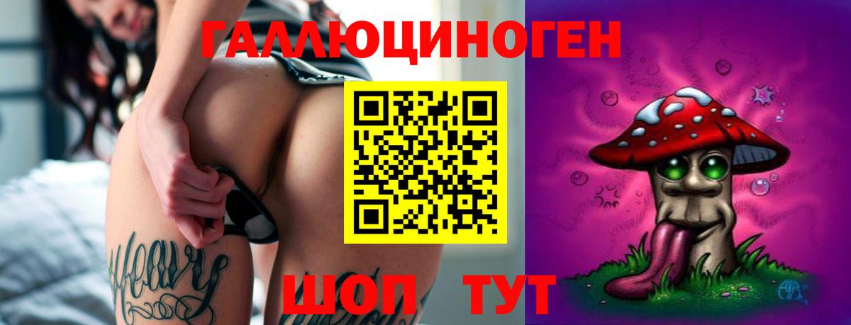 Галлюциногенные грибы прущие грибы  Ессентуки  купить   Псилоцибиновые грибы MAGIC MUSHROOMS 