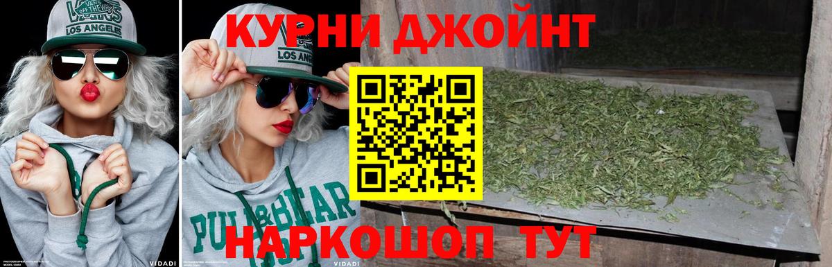 Шишки марихуана планчик Ессентуки